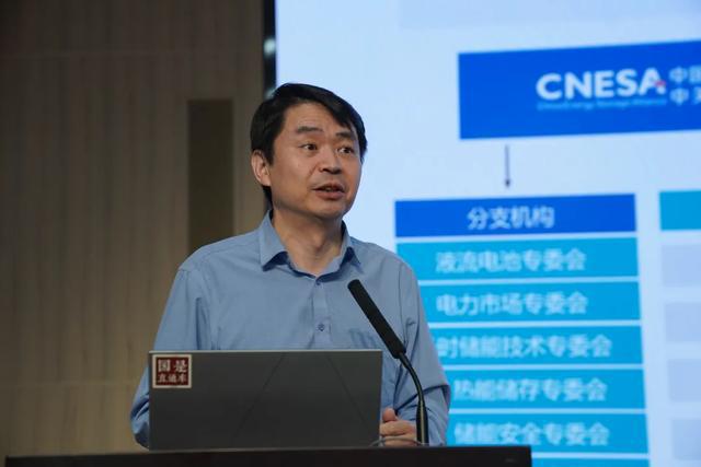 俞振华：我国储能总体将从规模化发展向全面商业化转变(图1)