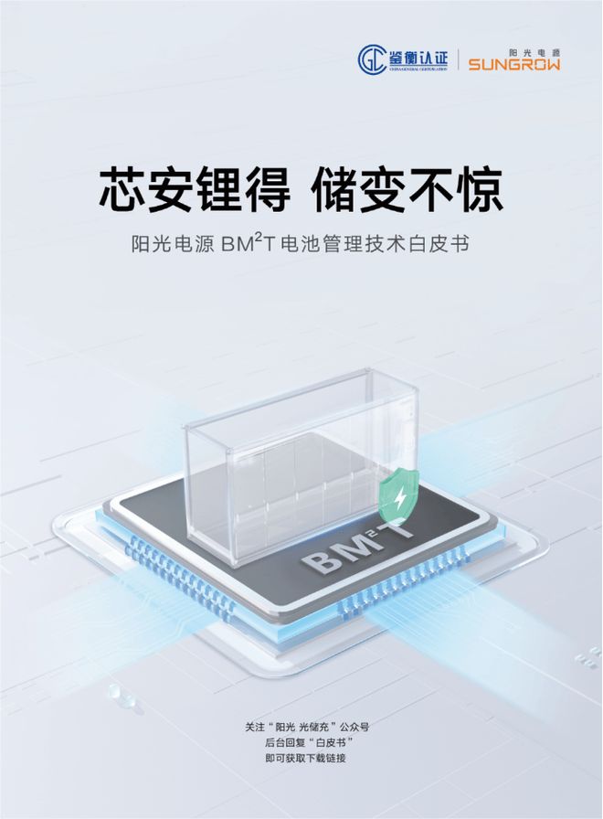 储能电力交易+智能化：阳光电源BM²T白皮书到底说得啥？(图3)