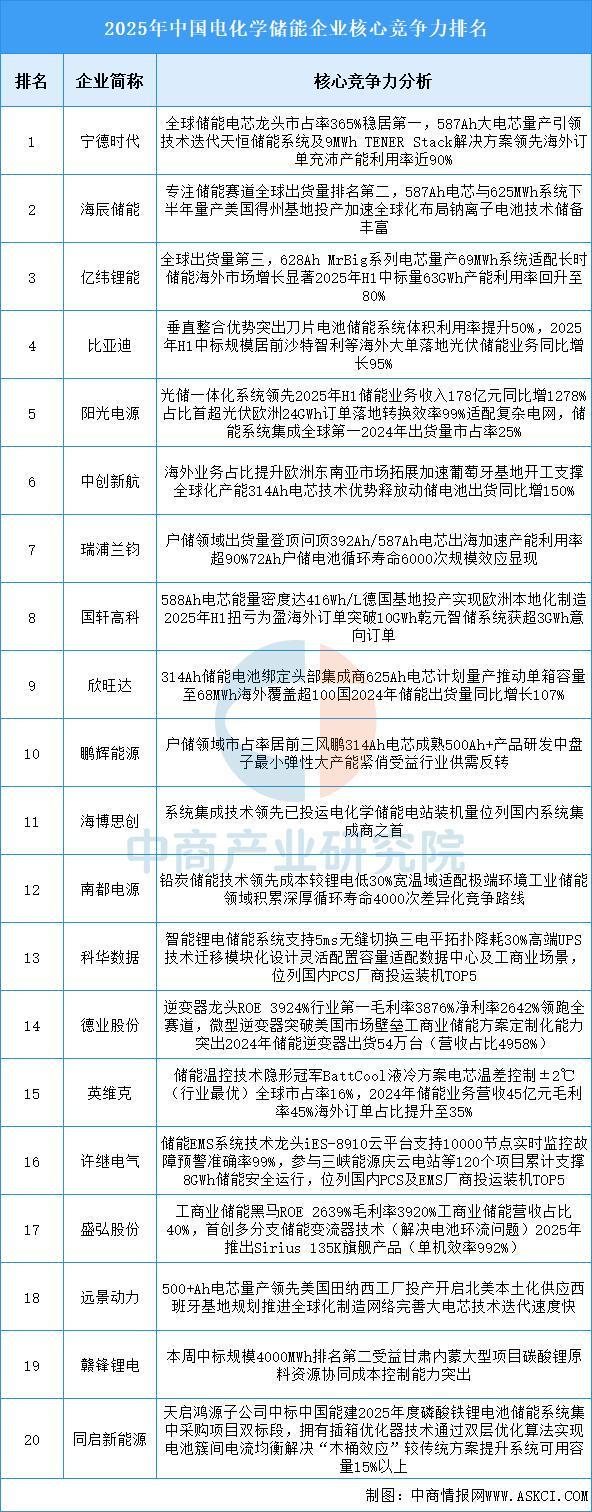 2025年中国电化学储能行业市场前景预测研究报告(图8)