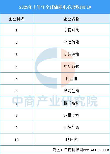 2025年中国储能电芯行业市场前景预测研究报告(图6)