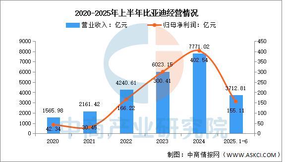 2025年中国储能电芯行业市场前景预测研究报告(图12)