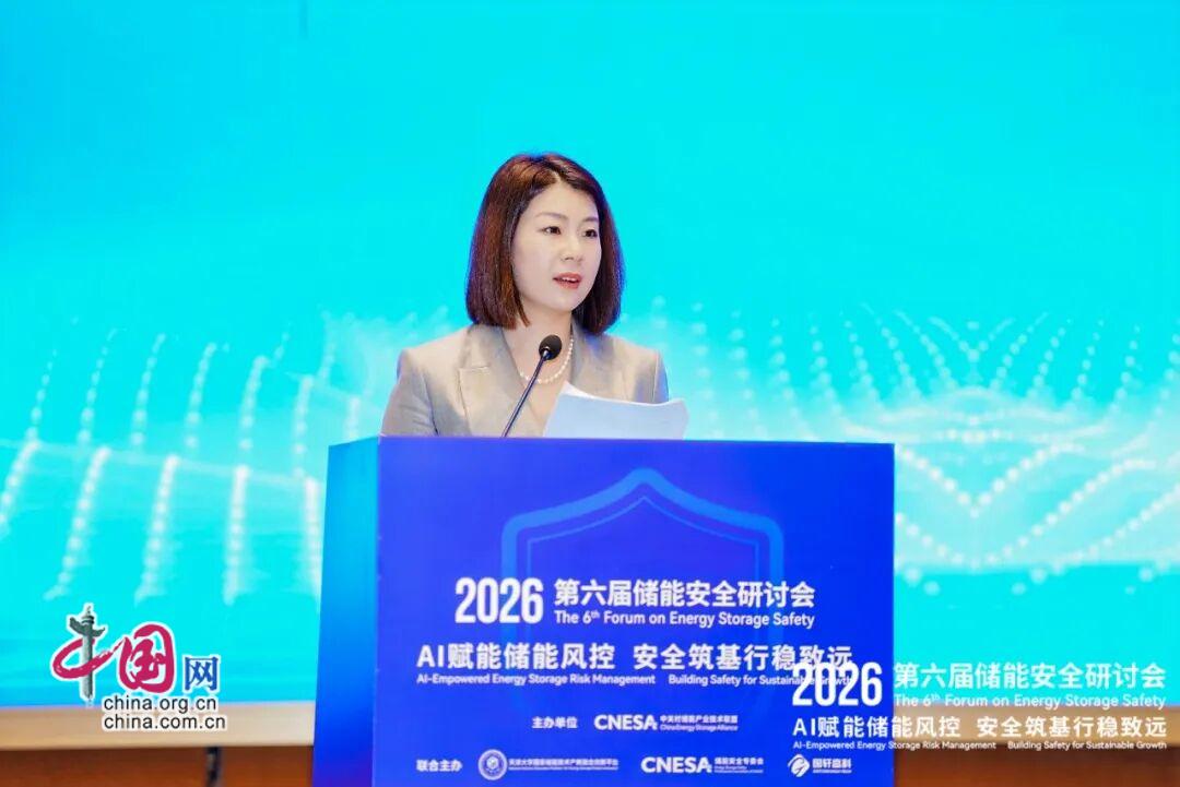 第六届储能安全研讨会举办破解安全痛点推动产业发展(图1)